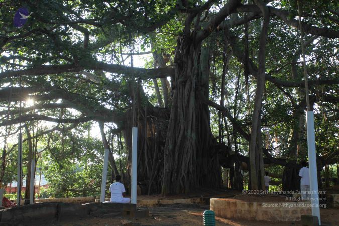 20101112 Photo 1327 1n4aHpo7zQ0ZWdHy FWrijSviWlqfO35f.JPG