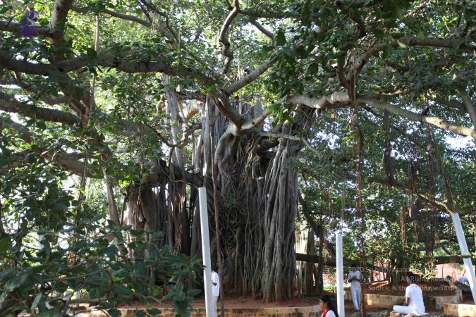 20101112 Photo 1330 1PWFSvpDwpORpNYY0d4FW1QaTz2z1Uilt.JPG