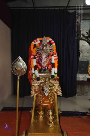 20101112 Photo 1354 17LcMFFtj V78rG2CC1pw2Wf3FapFBRWq.JPG