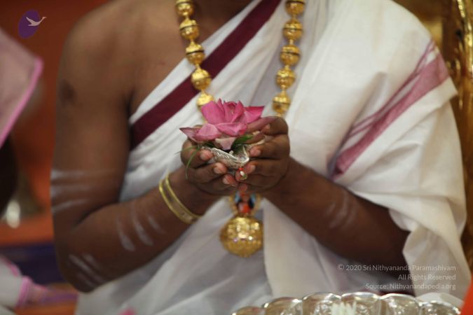 20101112 Photo 1393 1ueFaWMVpi7OlxzTL8j-F3h-yFdExOwle.JPG