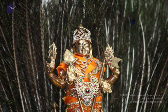 20101112 Photo 1404 1 2VVAQ2AGRiqmgkJOyxF vFNOvASQ1PJ.JPG