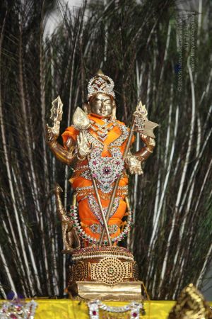 20101112 Photo 1405 1oSANyKR7MglCjqlLjYeVyoHSL3ZPLafW.JPG