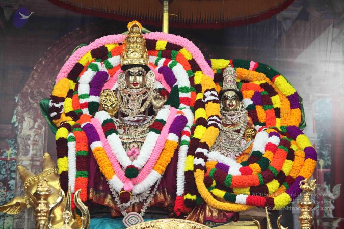 20101112 Photo 1429 1YLcTUyczRVnF9nG1Pavo5IxGC20DypTV.JPG