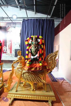 20101112 Photo 1565 1TEWpcLOERI3JoUMBlTVeFY-aESu3BmFy.JPG