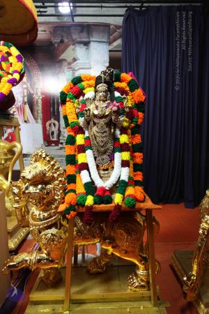 20101112 Photo 1577 1CH0Jt5s3Q2I4JNfxmgdlCfa9CSinWlyr.JPG