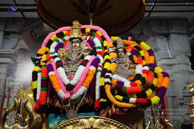 20101112 Photo 1587 1IwAWlmEgxEAJR2 tQILDMsa5j43 3Gqy.JPG