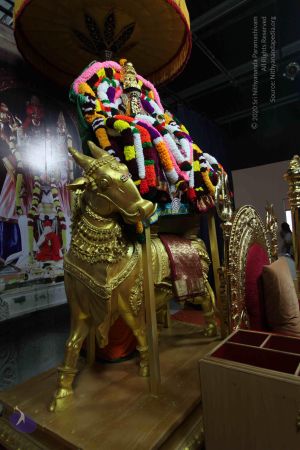 20101112 Photo 1590 1O7cGJgYyZE8DXD0sbiAm8quDNcyHtQZ3.JPG