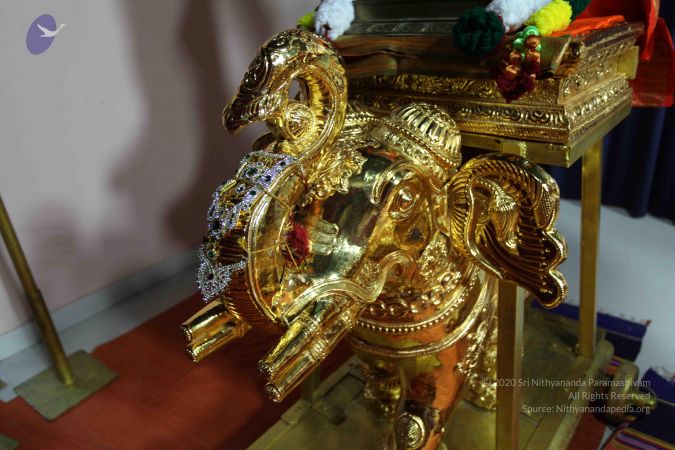 20101112 Photo 1601 1x87vMAf-9Lqk6w3qyqVq-2cPc5FcwGRr.JPG