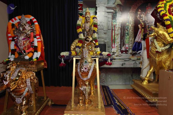 20101112 Photo 1633 1gmn2ErVyRY7YPDs69Tbf dzU44Hj4PDJ.JPG