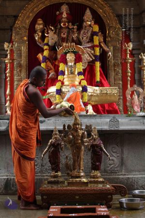 20101112 Photo 1874 1dDczBg6IiDYml0vSTdv71MLW00bqS0We.JPG