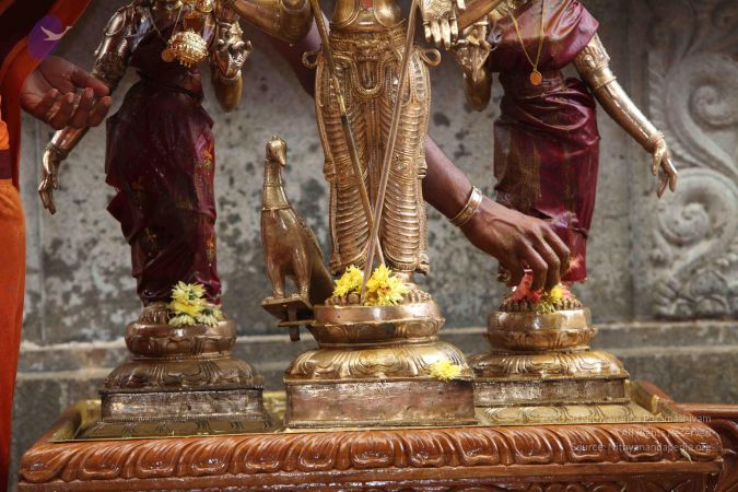 20101112 Photo 1881 1I0ZWUF1O8OP6wIbEj-ER-7a1HQ4lpT9G.JPG