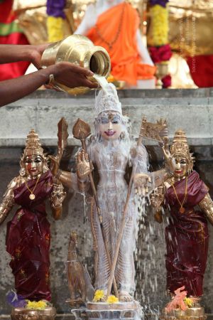 20101112 Photo 1907 1QMtowcK4cjcp4x4Scxtb7m3rZDcE7Rkv.JPG