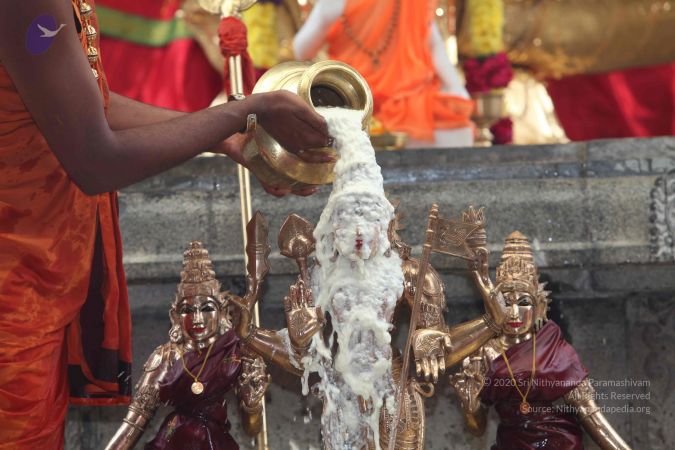 20101112 Photo 1916 1Rfu1gs6VKu-7YPAY1pA36gQwMqnBE9Kg.JPG