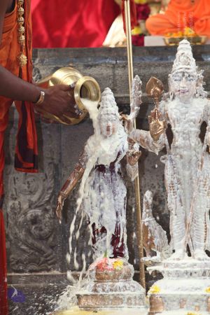 20101112 Photo 1923 13yjyFU--Dl4KCppYCg3I2pY09eHjAMT-.JPG