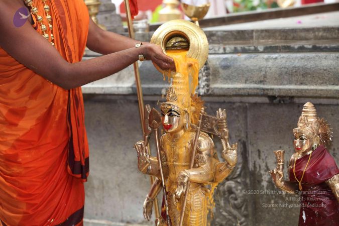 20101112 Photo 1934 14ujSiVtKr7oWLP0sZX8KWAZWS3xxzcxr.JPG