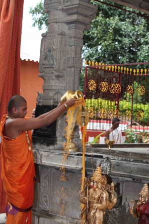 20101112 Photo 1938 1a7o634 vGZBVGfmFSwTr2Tn9BDiUEtEI.JPG