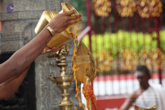 20101112 Photo 1939 1SbOH3 0Jo0lsNhNWCsacUhaWPqwuIRGE.JPG