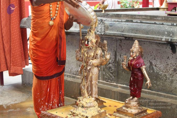 20101112 Photo 1949 1BS12k-GuKLWqTZxzNWVUhD3XEYdwx3Gs.JPG