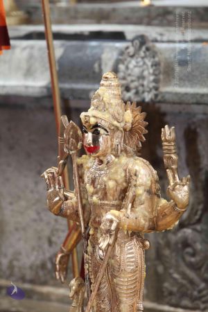 20101112 Photo 1953 187KnmfhlQ5jM5RS3B-uI4aNI6A8 Gluj.JPG