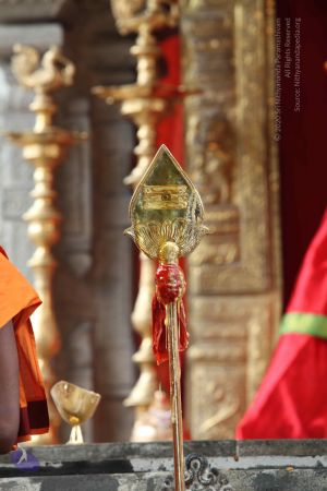 20101112 Photo 1976 1ll2EXRz65iublTMNHuLdrGvnlvjoS0nE.JPG