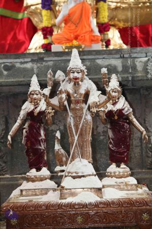 20101112 Photo 1988 1qYs2Dps8UjOvc5LLD0PTkf2CnqOnZxc .JPG