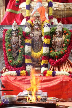 20101112 Photo 2124 12oDHp7cMnm3el3j7lkQuBzkJZ Miao5X.JPG