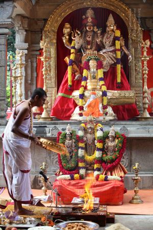 20101112 Photo 2133 1OxO7qvE1UZ2h9Ko-crAg-X0OkR13s37L.JPG