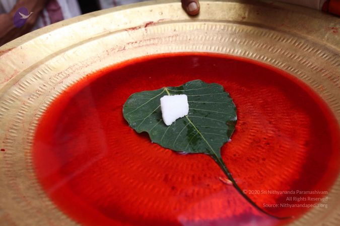 20101112 Photo 2262 1dUFl0WHmcZttW5DAafNzPr4Xd2AaTGXU.JPG