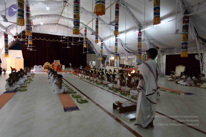 20101112 Photo 2397 1082xXUYRx-0BcPBo0PCPRtTFAkolo6Kc.JPG