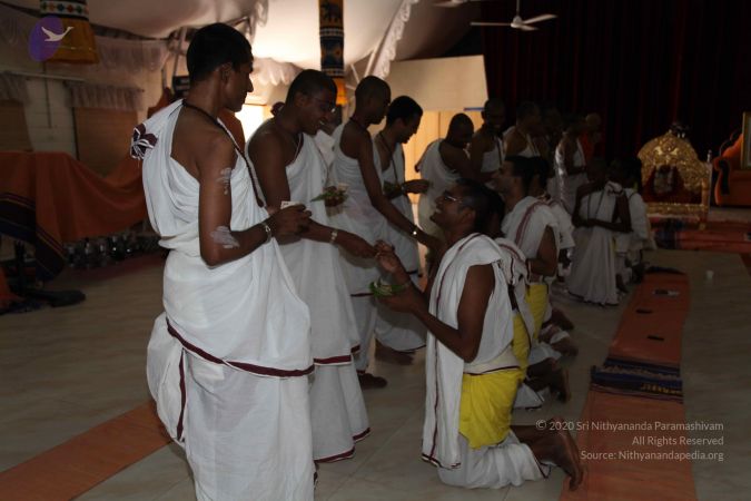 20101112 Photo 2491 1MM TrJPlvQStcP3T0PYXFtZ6IyHcYNKy.JPG