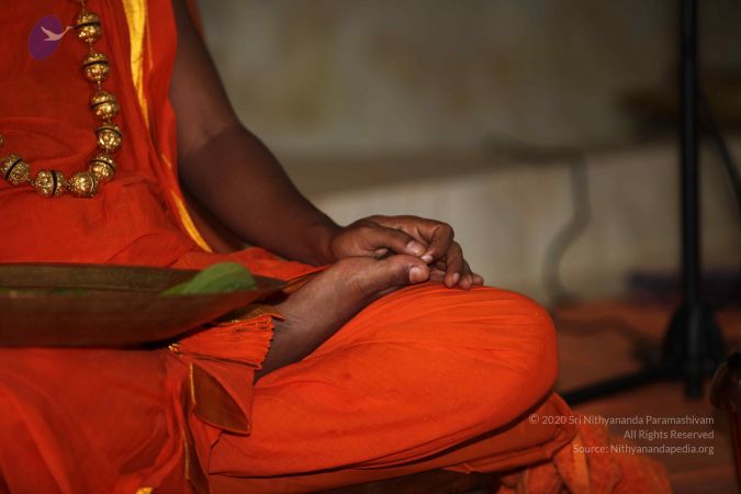 20101112 Photo 2536 1Lt0CYxbbdAOPs5Q6E eYExU7mMuHOvw .JPG