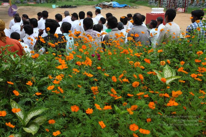 20101113 Photo 1107 1-h0sXPvxl2KqTyPOLMI3FL-PTvVD0MlQ.JPG