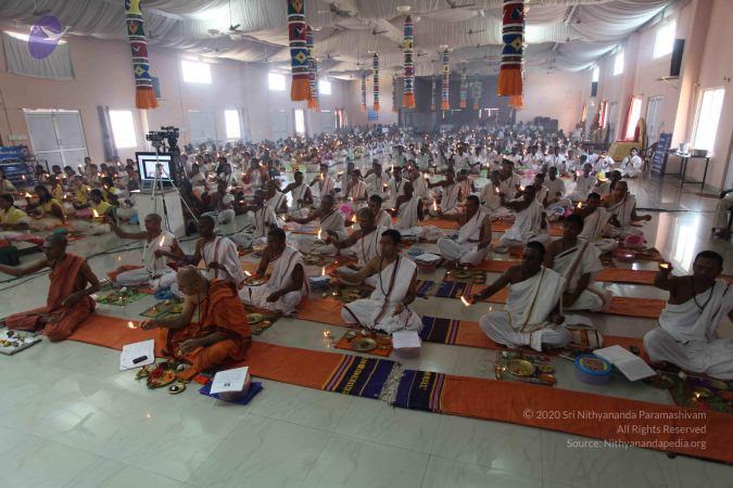 20101113 Photo 1284 1j-RakeTrx59skZ-4TkLo6NoT6aV8qbmV.JPG