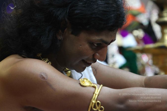 20101114 Photo 1008 19cwv5CmtYkDzeri7ksagZifYEJg986t1.JPG