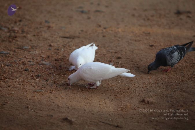 20101114 Photo 1023 1bfTuR1GkkM50wLlEuI4Jkgme8BS-vdCh.JPG