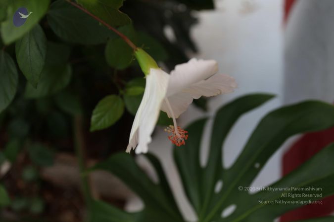 20101114 Photo 1082 12uNSoZ9QLqK9GwcJO83JNQbof pi3Rzi.JPG