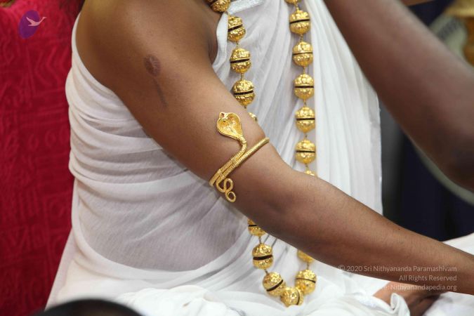 20101114 Photo 1123 1eNKzc8mpDaKamPXLe2FoXasIGq9Y-ZAZ.JPG