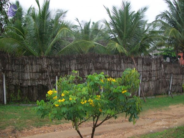 20101114 Photo 1361 1sTvj-HUk0x7G0zbyEiyOpbekYRZFTKIR.JPG