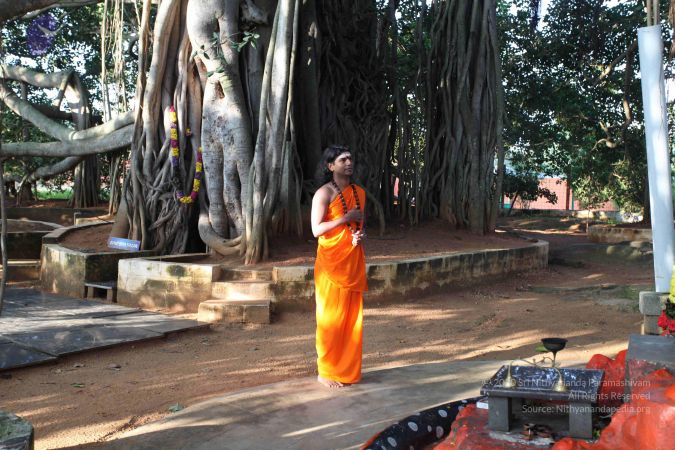 20101118 Photo 1018 1UNu- iT7ZBuFLeYvngP3ibhkWrMcwRuv.JPG