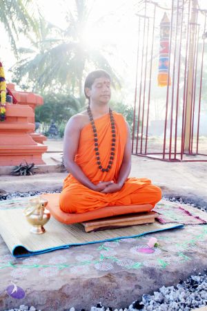 20101120IMG 9445 CMP WM0100.jpg