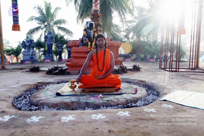 20101120IMG 9466 CMP WM0100.jpg