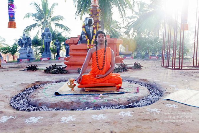 20101120IMG 9473 CMP WM0100.jpg