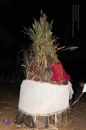 20101121 Photo 1610 19ioLYw6VBaqkYA-pVfA9OlE8tzwn-ine.JPG