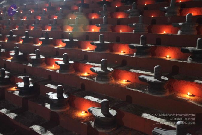 20101121 Photo 1826 1MmgtzAZBwelA5Jc7NMZ6BB9DKSGXu6bc.JPG