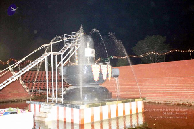 20101122IMG 2250 CMP WM1111.jpg