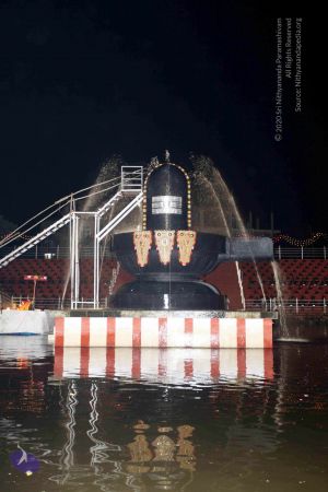 20101122IMG 2313 CMP WM1111.jpg