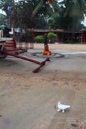 20101123 Photo 1003 1RdyraM7-9GXGCn591jaGyC0HS4Lmf0Ya.JPG