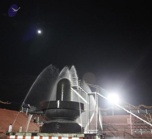 20101123 Photo 1019 11j1wfi8Xi5SSxbVq778awTkmL8CYp6ql.JPG