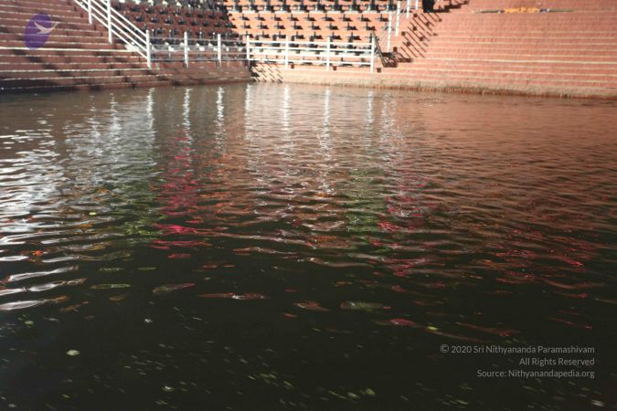 20101123 Photo 1260 1fy3O6vwpSKY6VgE5C4WPAZb sfcdzFjU.JPG