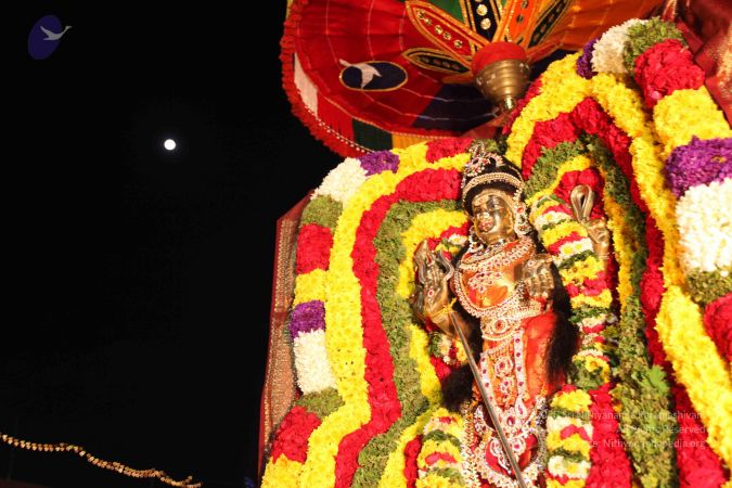 20101123 Photo 1290 1-TuItOyC5eLSeTnc8Pf4cEzS3F5 Rh8T.JPG